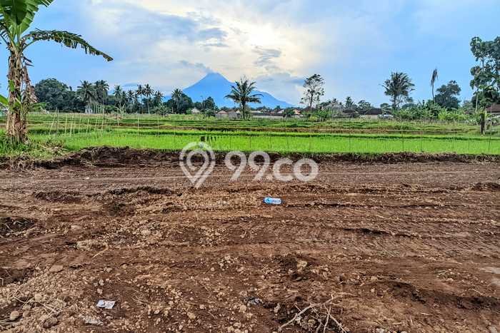 Jarang Ada! Tanah di Berbah Punya Luas 151m2 SHM Jarang Ada! Tanah di Berbah Punya Luas 151m2 SHM