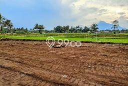 Tanah untuk Dijual di Godean Sleman Luas 151m2 Tanah untuk Dijual di Godean Sleman Luas 151m2