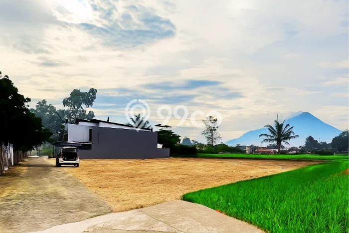 Tanah Kavling Dijual di Sleman dengan Spesifikasi 214m2 Tanah Kavling Dijual di Sleman dengan Spesifikasi 214m2