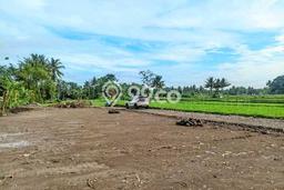 Kavling Tanah di Prambanan Dijual Luas 151m2 Legalitas SHM Kavling Tanah di Prambanan Dijual Luas 151m2 Legalitas SHM