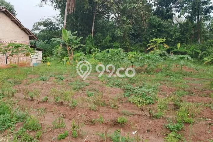 Untuk Dijual Tanah di Tigaraksa Tangerang Luas 1000m2 AJB Untuk Dijual Tanah di Tigaraksa Tangerang Luas 1000m2 AJB