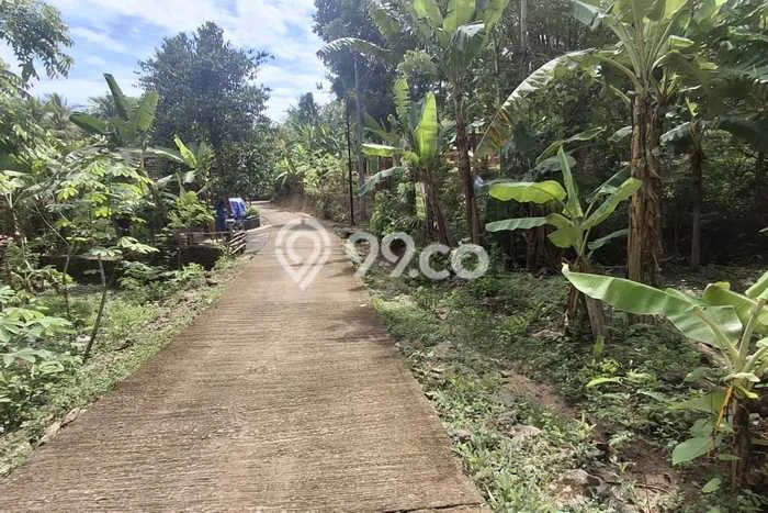 Lahan Dijual Lokasi Kasihan, Bantul dengan Luas Tanah 683m2 dan Status SHM Lahan Dijual Lokasi Kasihan, Bantul dengan Luas Tanah 683m2 dan Status SHM