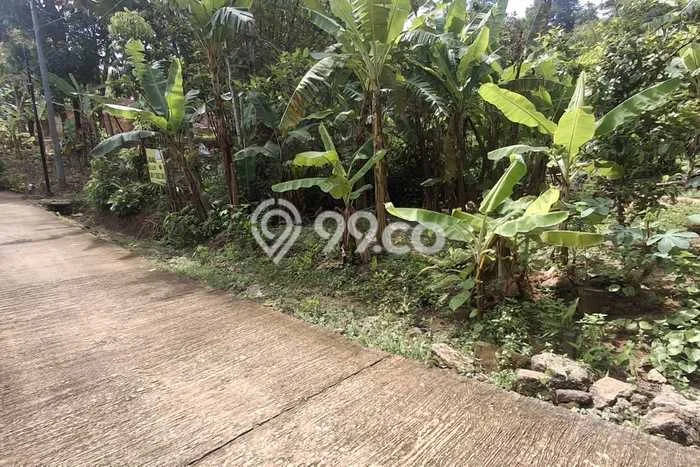 Lahan Dijual Lokasi Kasihan, Bantul dengan Luas Tanah 683m2 dan Status SHM Lahan Dijual Lokasi Kasihan, Bantul dengan Luas Tanah 683m2 dan Status SHM