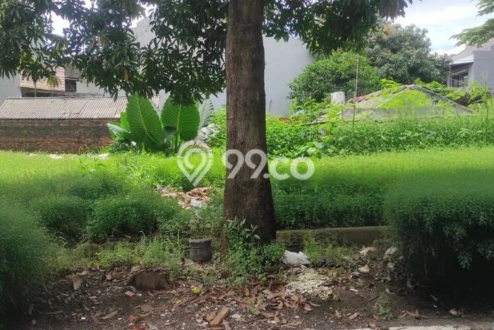 Tanah Kavling Dijual di Pondok Kelapa, Jakarta Timur dengan Luas Tanah 172m2 Tanah Kavling Dijual di Pondok Kelapa, Jakarta Timur dengan Luas Tanah 172m2
