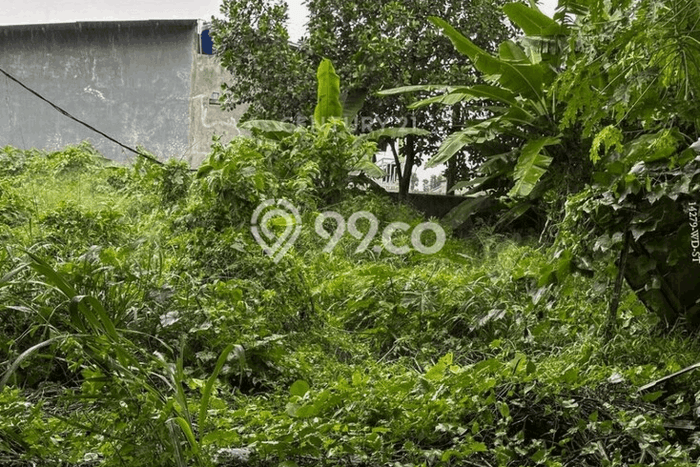 Tanah Investasi Dijual di Tangerang Selatan Punya Luas 460m2 Tanah Investasi Dijual di Tangerang Selatan Punya Luas 460m2
