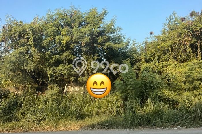 Tanah Kavling Dijual di Pasar Kemis, Tangerang dengan Luas Tanah 3700m2 Tanah Kavling Dijual di Pasar Kemis, Tangerang dengan Luas Tanah 3700m2