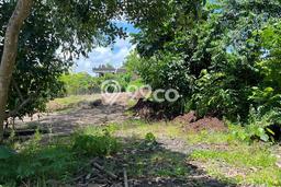 Kavling Tanah untuk Dijual di Kedungu, Tabanan, Luas 781m2 Kavling Tanah untuk Dijual di Kedungu, Tabanan, Luas 781m2