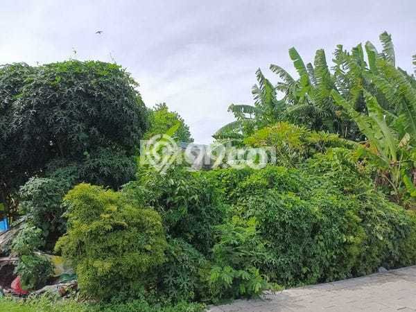 Tanah Kavling Dijual di Gianyar dengan Spesifikasi 150m2 Tanah Kavling Dijual di Gianyar dengan Spesifikasi 150m2