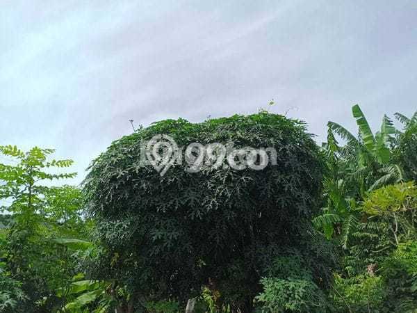 Tanah Kavling Dijual di Gianyar dengan Spesifikasi 150m2 Tanah Kavling Dijual di Gianyar dengan Spesifikasi 150m2