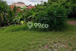 Kavling Tanah Dijual di Tabanan Tabanan Spesifikasi 570m2 Kavling Tanah Dijual di Tabanan Tabanan Spesifikasi 570m2
