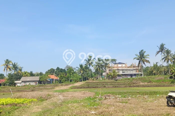 Untuk Dijual Tanah di Gianyar, Luas 3600m2 SHM Untuk Dijual Tanah di Gianyar, Luas 3600m2 SHM