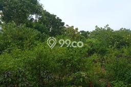 Kavling Tanah untuk Dijual di Ungasan, Badung, Luas 200m2 Kavling Tanah untuk Dijual di Ungasan, Badung, Luas 200m2
