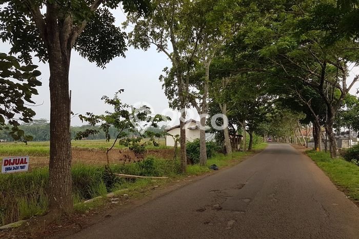 Tanah Dijual Lokasi Plered Purwakarta SHM Tanah Dijual Lokasi Plered Purwakarta SHM