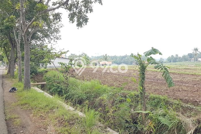 Tanah Dijual Lokasi Plered Purwakarta SHM Tanah Dijual Lokasi Plered Purwakarta SHM