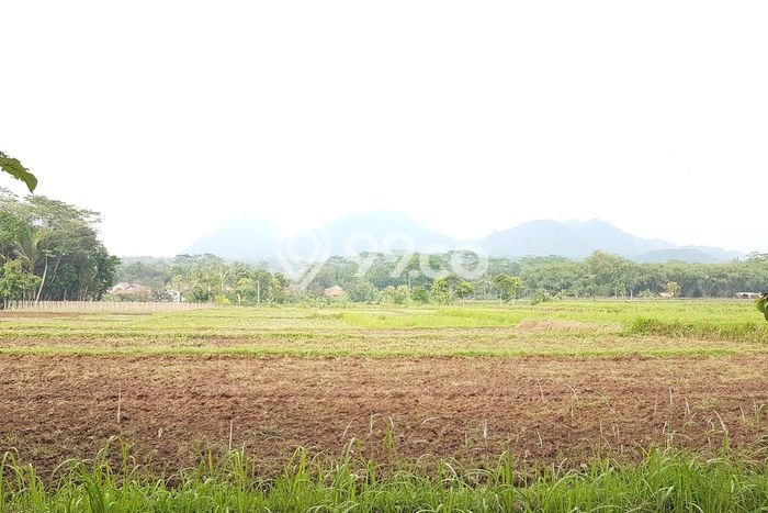Tanah Dijual Lokasi Plered Purwakarta SHM Tanah Dijual Lokasi Plered Purwakarta SHM
