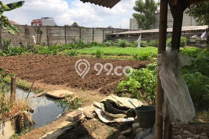 Tanah Kavling Dijual di Duri Kosambi, Jakarta Barat dengan Luas Tanah 1716m2 Tanah Kavling Dijual di Duri Kosambi, Jakarta Barat dengan Luas Tanah 1716m2