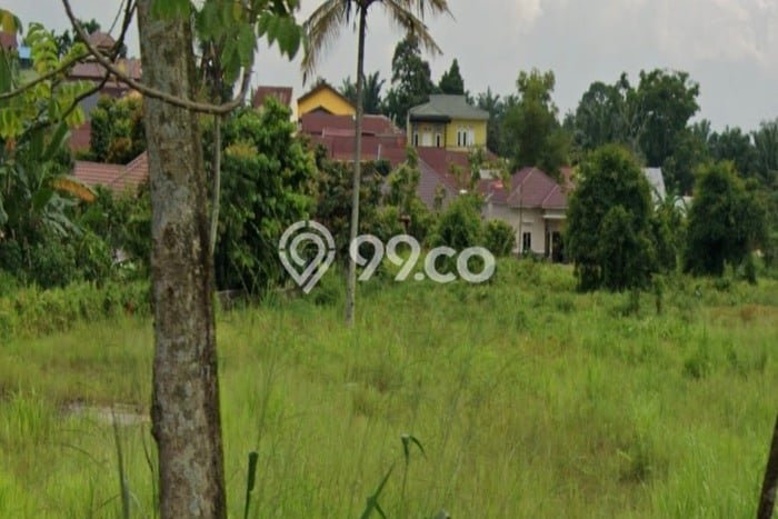 Tanah Investasi Dijual di Pekanbaru Punya Luas 4791m2 Tanah Investasi Dijual di Pekanbaru Punya Luas 4791m2