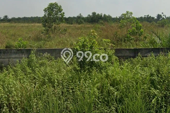 Tanah Investasi Dijual di Pekanbaru Punya Luas 28000m2 Tanah Investasi Dijual di Pekanbaru Punya Luas 28000m2