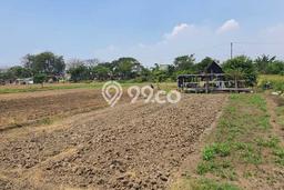 Tanah Dijual Lokasi Babelan Bekasi SHM Tanah Dijual Lokasi Babelan Bekasi SHM