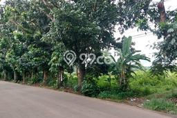 Tanah di Bojong Gede, Bogor Luas 21000m2 Dijual Segera Tanah di Bojong Gede, Bogor Luas 21000m2 Dijual Segera