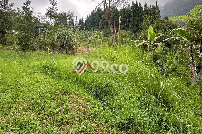 Tanah Strategis Dijual di Megamendung Bogor 55000m2 Tanah Strategis Dijual di Megamendung Bogor 55000m2