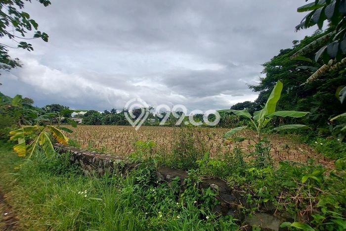 Tanah di Bojong Gede, Bogor Luas 21000m2 Dijual Segera Tanah di Bojong Gede, Bogor Luas 21000m2 Dijual Segera