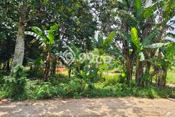 Kavling Tanah Dijual di Parung Bogor Spesifikasi 749m2 Kavling Tanah Dijual di Parung Bogor Spesifikasi 749m2