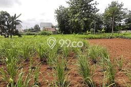 Kavling Tanah di Cimanggis Dijual Luas 600m2 Legalitas SHM Kavling Tanah di Cimanggis Dijual Luas 600m2 Legalitas SHM