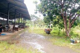Lokasi Strategis! Dijual Pabrik Bisnis di Tangerang, Tangerang Kondisi Baik Lokasi Strategis! Dijual Pabrik Bisnis di Tangerang, Tangerang Kondisi Baik