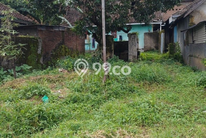 Rumah Minimalis Dijual Lokasi Pandaan 3 Kamar dengan Luas Tanah 240m2 Rumah Minimalis Dijual Lokasi Pandaan 3 Kamar dengan Luas Tanah 240m2