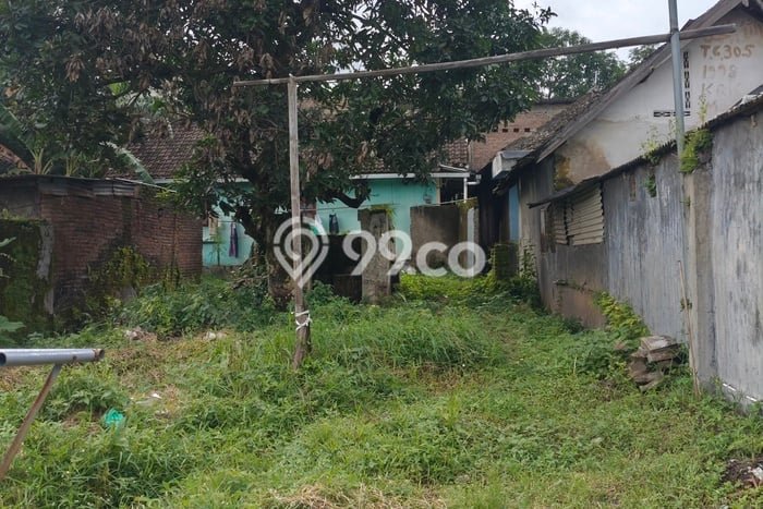Rumah Minimalis Dijual Lokasi Pandaan 3 Kamar dengan Luas Tanah 240m2 Rumah Minimalis Dijual Lokasi Pandaan 3 Kamar dengan Luas Tanah 240m2