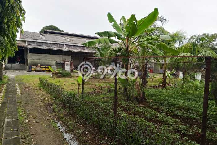 Paling Dicari! Pabrik Dijual di Pasar Kemis Harga Kompetitif Paling Dicari! Pabrik Dijual di Pasar Kemis Harga Kompetitif