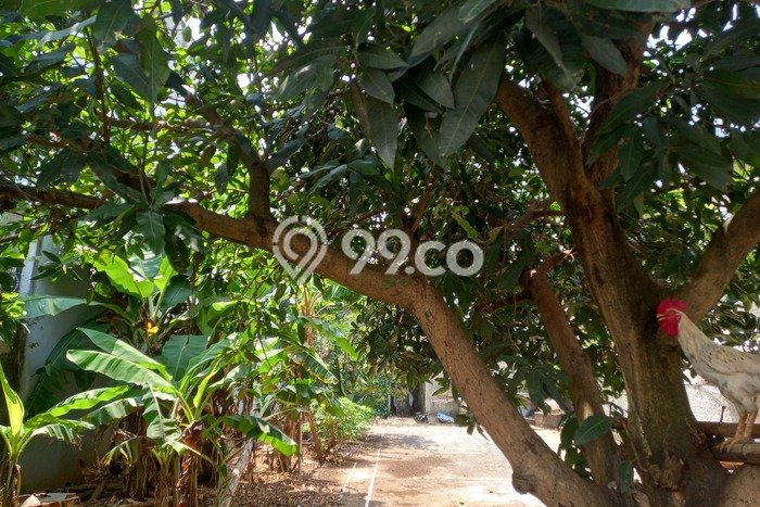 Tanah Kavling Dijual di Bintaro, Jakarta Selatan dengan Luas Tanah 300m2 Tanah Kavling Dijual di Bintaro, Jakarta Selatan dengan Luas Tanah 300m2