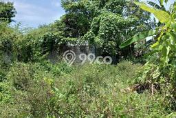 Lahan Investasi Lokasi Kramatwatu Serang - Lahan Investasi Lokasi Kramatwatu Serang -