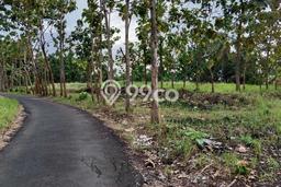 Tanah Kavling untuk Dijual di Cibeber Cilegon 10000m2 Tanah Kavling untuk Dijual di Cibeber Cilegon 10000m2