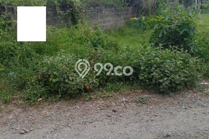 Tanah Dijual Lokasi Kramatwatu, Serang Luas 400m2 Legalitas Aman Tanah Dijual Lokasi Kramatwatu, Serang Luas 400m2 Legalitas Aman
