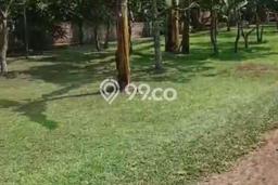 Tanah Kavling untuk Dijual di Mancak Serang 1235m2 Tanah Kavling untuk Dijual di Mancak Serang 1235m2