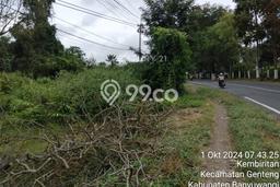 Lahan Kosong Dijual di Banyuwangi, Banyuwangi, Luas 26700m2 Area Strategis Lahan Kosong Dijual di Banyuwangi, Banyuwangi, Luas 26700m2 Area Strategis