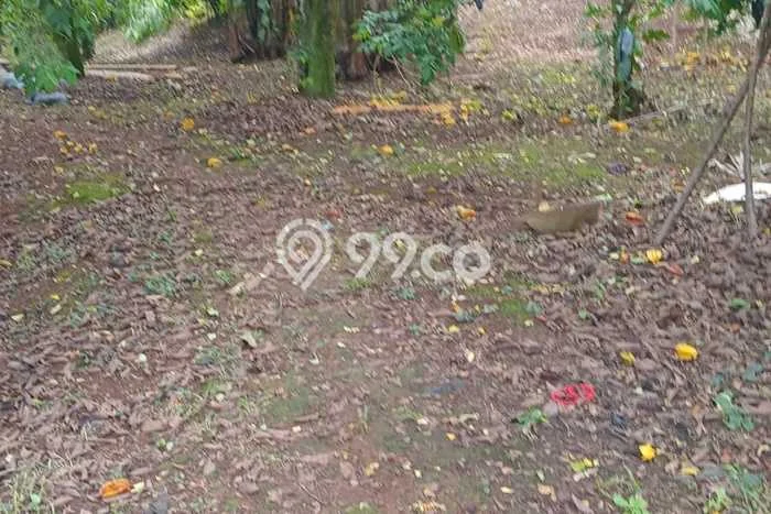 Lahan untuk Dijual Lokasi Beji, Depok Luas 7156m2 SHM Lahan untuk Dijual Lokasi Beji, Depok Luas 7156m2 SHM