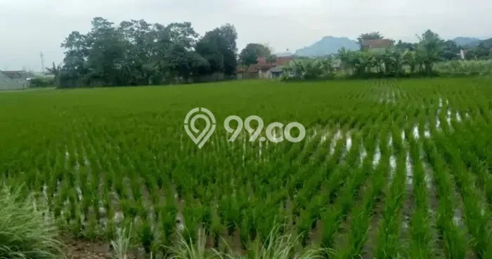 Lahan Kosong Dijual di Bandung dengan Area 2100m2 Lahan Kosong Dijual di Bandung dengan Area 2100m2