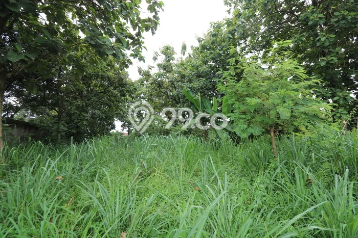 Kavling Tanah di Gunung Sindur Dijual Luas 40000m2 Legalitas SHM Kavling Tanah di Gunung Sindur Dijual Luas 40000m2 Legalitas SHM