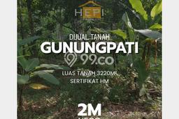 Jarang Ada! Tanah di Gunung Pati Punya Luas 3220m2 SHM Jarang Ada! Tanah di Gunung Pati Punya Luas 3220m2 SHM
