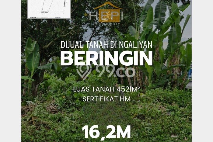 Untuk Dijual Tanah di Ngaliyan Semarang Luas 4521m2 SHM Untuk Dijual Tanah di Ngaliyan Semarang Luas 4521m2 SHM