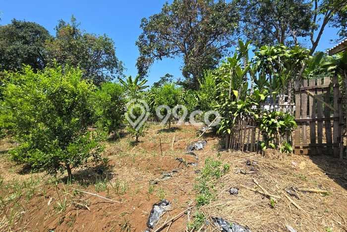 Tanah Kavling di Cugenang Dijual dengan Luas 2218m2 Tanah Kavling di Cugenang Dijual dengan Luas 2218m2