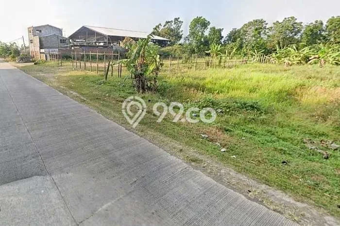 Dijual Tanah Lokasi Trisi, Indramayu Seluas 61497m2 Dijual Tanah Lokasi Trisi, Indramayu Seluas 61497m2