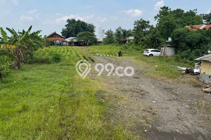 Tanah Dijual Lokasi Gantar, Indramayu Luas 1640m2 Legalitas Aman Tanah Dijual Lokasi Gantar, Indramayu Luas 1640m2 Legalitas Aman