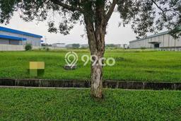 Tanah Siap Bangun Dijual di Bekasi Punya Luas 10000m2 Tanah Siap Bangun Dijual di Bekasi Punya Luas 10000m2