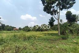 Tanah Dijual Lokasi Gunung Sindur, Bogor Luas 5972m2 Legalitas Aman Tanah Dijual Lokasi Gunung Sindur, Bogor Luas 5972m2 Legalitas Aman