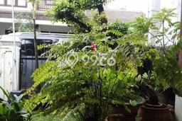 Rumah Minimalis 3 KT LT 180m2 di Bintaro Rumah Minimalis 3 KT LT 180m2 di Bintaro