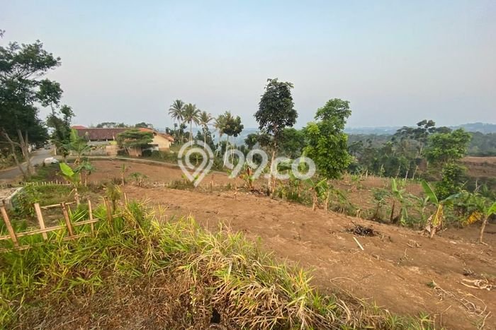Lahan Investasi Lokasi Nagrak Sukabumi SHM Lahan Investasi Lokasi Nagrak Sukabumi SHM